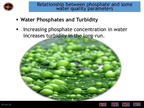 what are phosphates in water quality